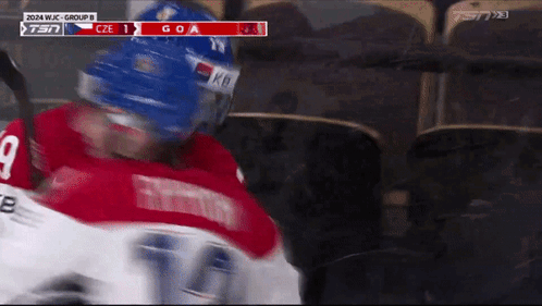 Hockey Player In Red Jersey Number 9 GIF