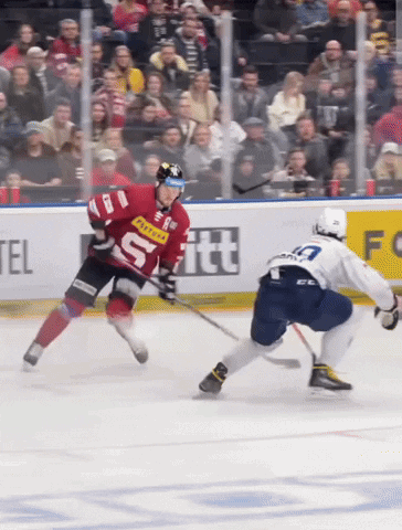 Hockey Player in Red Jersey with S