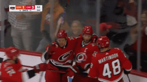 Hockey Player Martinook 48