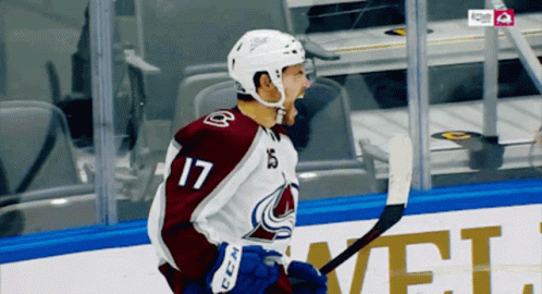 Hockey Player Number 17 on Ice