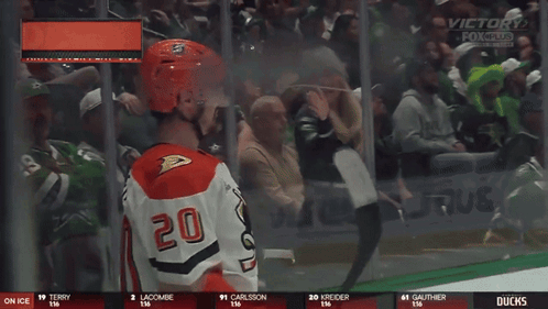 Hockey Player Number 20 Celebrates Goal GIF