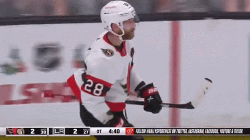 Hockey Player Number 28 Hugging Another Player