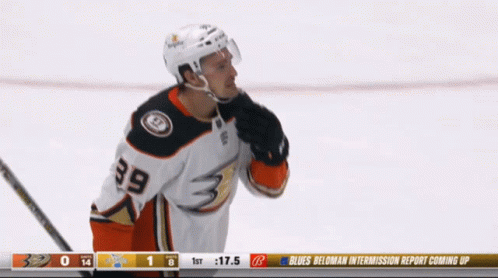 Hockey Player Number 39 GIF