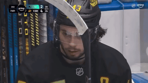 Hockey Player Number 43 Holding Stick