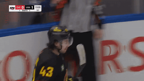 Hockey Player Number 43