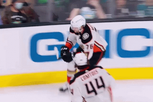 Hockey Player Number 44 Fighting GIF