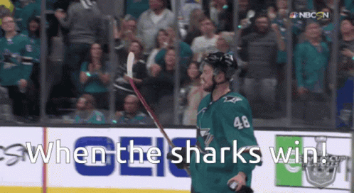 Hockey Player Number 48 Holding Stick