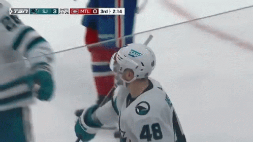 Hockey Player Number 48 On Ice GIF