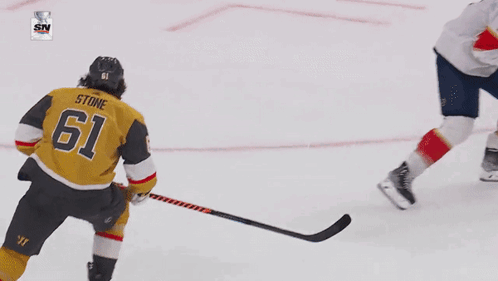 Hockey Player Number 9