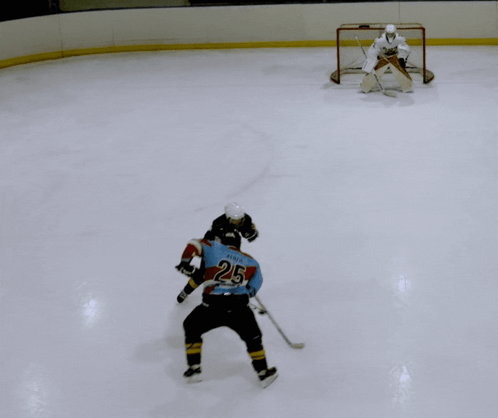 Hockey Player Number 95 on Ice