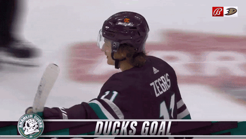 Hockey Player Wearing Ducks Goal Jersey GIF