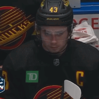 Hockey Player Wearing Helmet 43