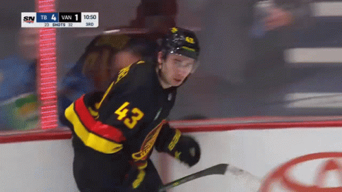 Hockey Player Wearing Number 43