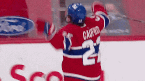 Hockey Player Wearing Red White Blue Jersey