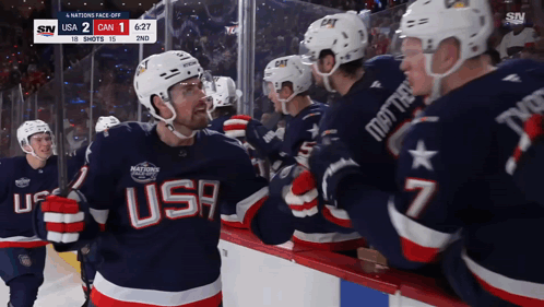 Hockey Player Wearing USA Jersey