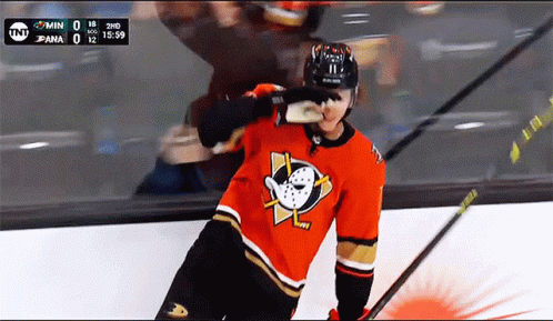 Hockey Player With Duck Jersey GIF