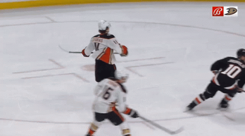 Hockey Player Zebras On Jersey GIF