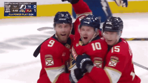 Hockey Players Celebrate Goal