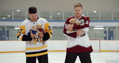 Hockey Players Holding Puppies