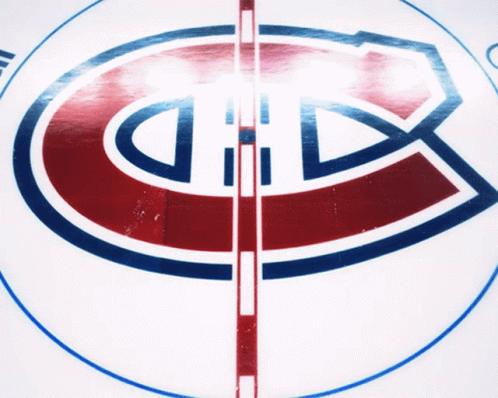 Hockey Rink With Canadiens Logo