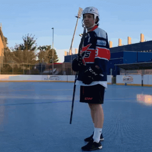 Hockey Snurs Stars GIF