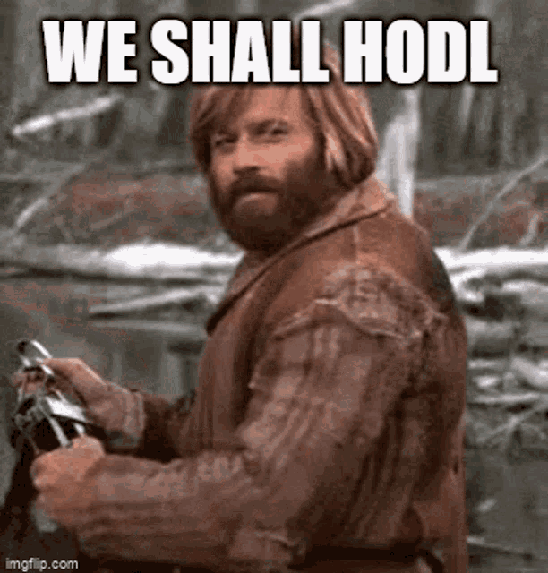 Hodlshark Babysharktoken Gif GIF