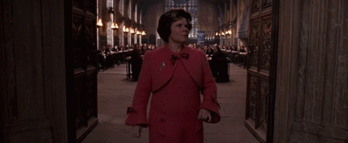 Hogwarts Confused Ms Phoenix GIF