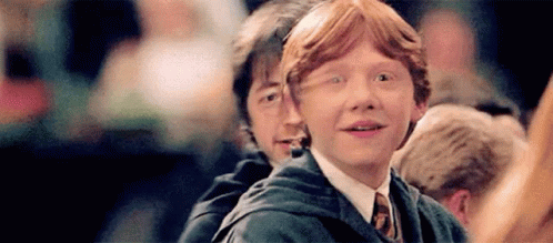 Hogwarts Harry Potter And Ron GIF