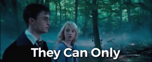 Hogwarts Harry Potter Who Bought The Deluxe Edition GIF