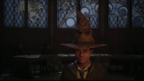 Hogwarts Legacy Sorting Hat GIF