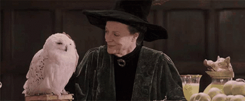 Hogwarts Minerva Mcgonagall GIF