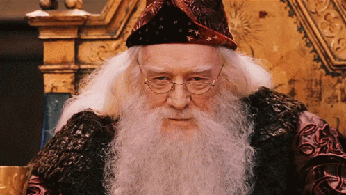 Hogwarts Professor Albus Dumbledore Cheers GIF