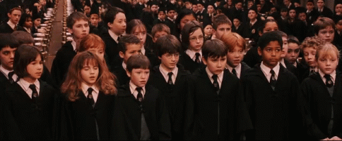 Hogwarts Students On Ceremony GIF