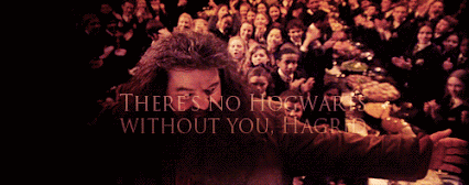 Hogwarts Without Rubeus Hagrid GIF