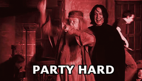 Hogwarts Wizard Party Hard GIF