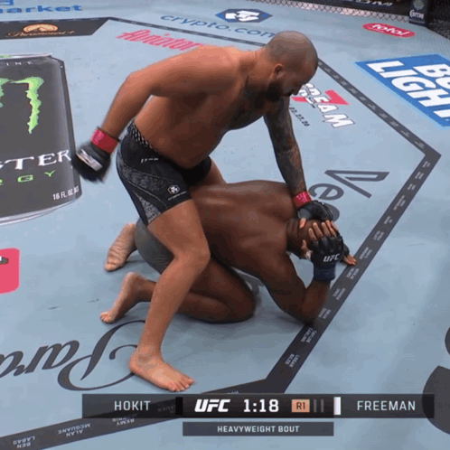 Hokit Vs Freeman Heavyweight Bout UFC 1:18 GIF