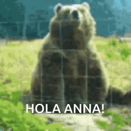 Hola Anna Waving Bear GIF