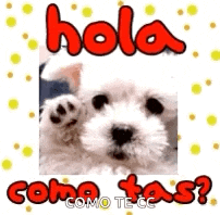 Hola Hi Gif GIF