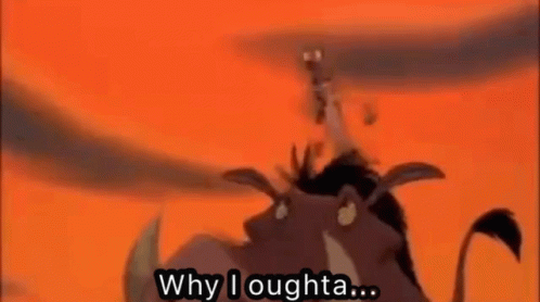 Hold Me Back Funny Timon And Pumbaa GIF