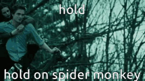 Hold On Twilight Bella And Edward GIF