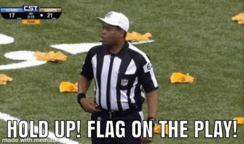 Hold Up Flag On The Play GIF