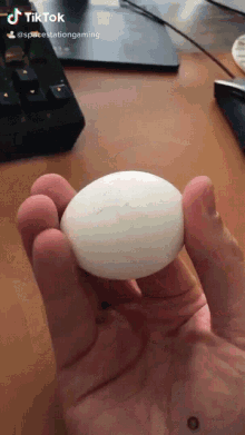 Holding A Cracking Egg GIF