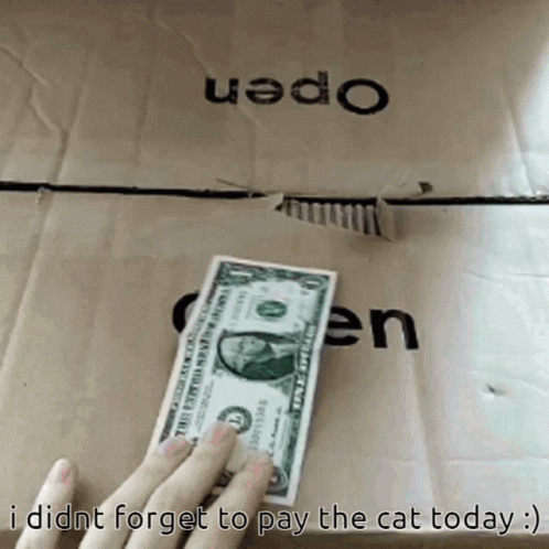 Holding Dollar Bill Before Box Saying Open
