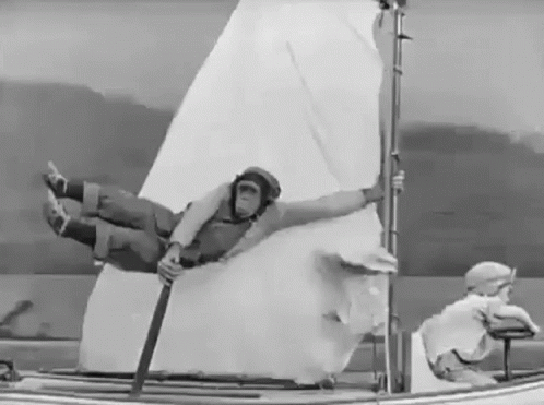 Holding On Monkey Sailing And Flying GIF