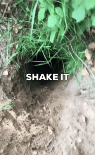 Hole in the Ground Saying Shake It