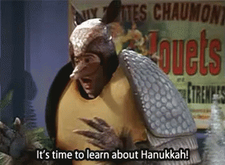 Holiday Armadillo Learn About Hanukkah GIF