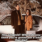 Holiday Season Clark Griswold Christmas Lights GIF