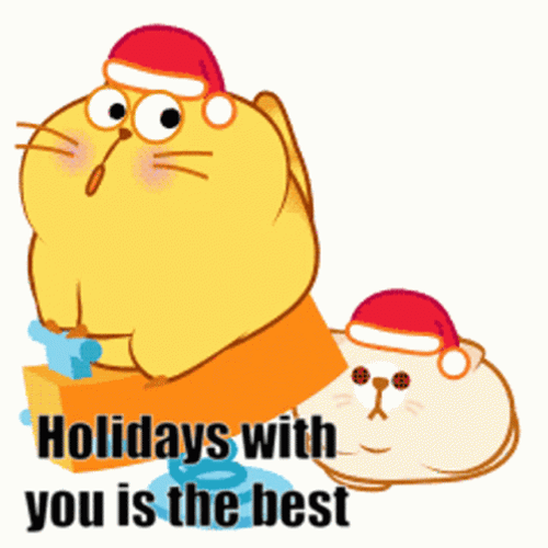 Holidays WIth You Is The Best GIF