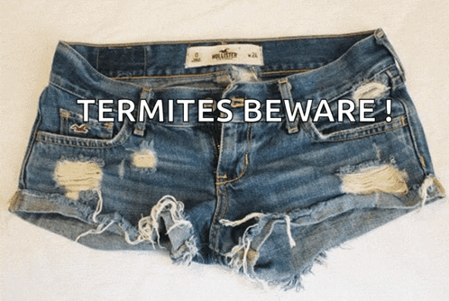 Hollister Shorts Termites Beware GIF