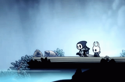 Hollow Knight And Hornet Relaxing GIF